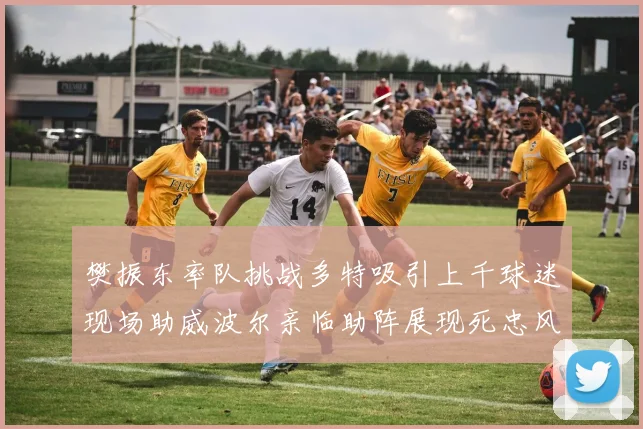 樊振东率队挑战多特吸引上千球迷现场助威波尔亲临助阵展现死忠风采