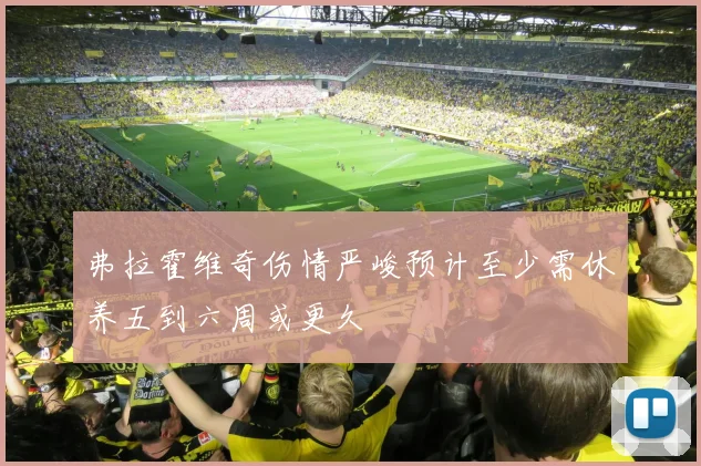 弗拉霍维奇伤情严峻预计至少需休养五到六周或更久