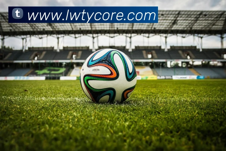 App Interface Preview