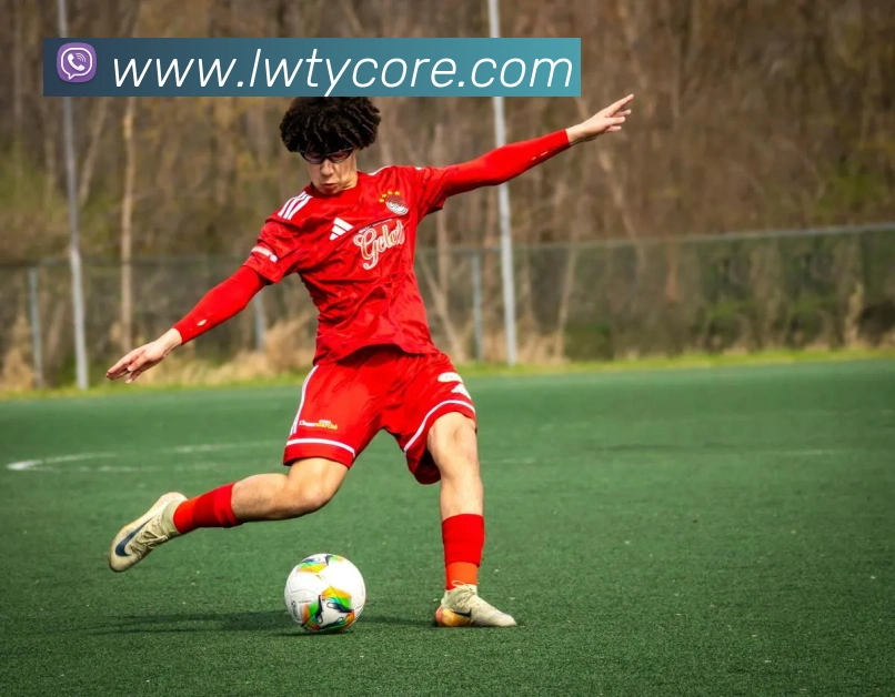 乐玩体育APP 封面图